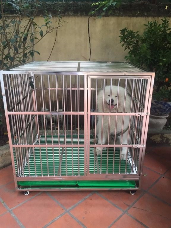 Mẫu Chuồng Chó Ngoài Trời: Những Thiết Kế Hoàn Hảo Cho Bạn Gallery 2