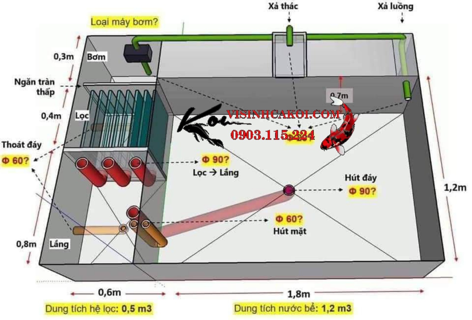 Bản Vẽ Hồ Cá Koi: Thiết Kế Và Xây Dựng Hồ Cá Koi Đẹp Gallery 2
