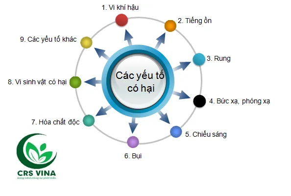 Yếu tố là gì?