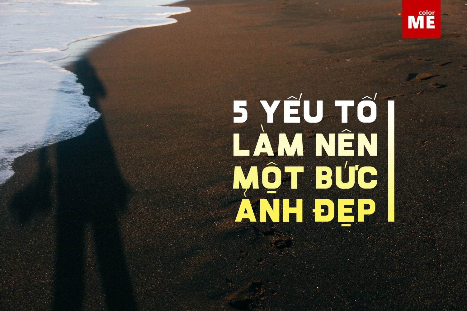 Cách Chọn Ảnh Đại Diện Thu Hút Người Xem Gallery 1