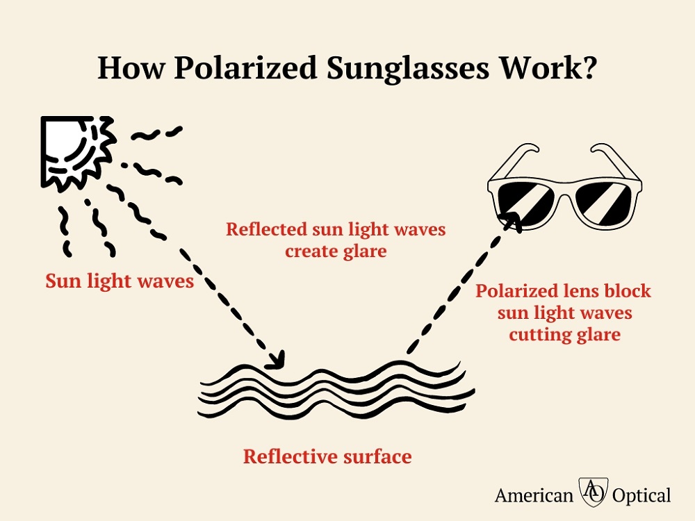 How do polarized sunglasses work online