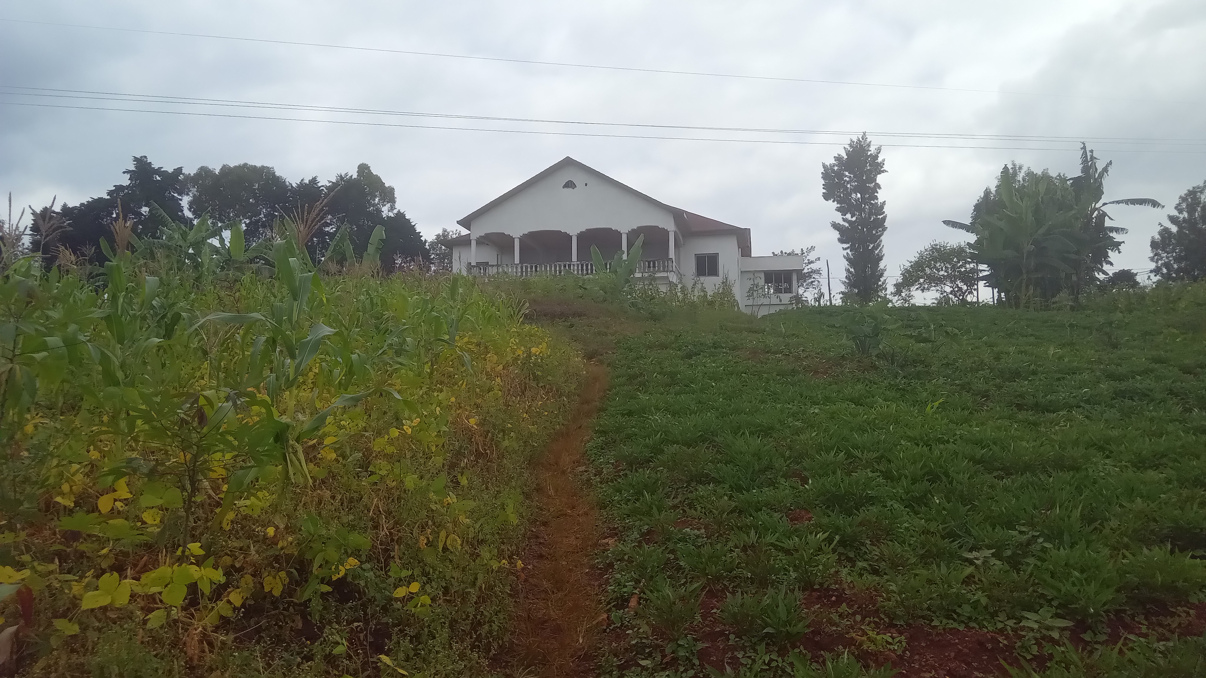 Shyorongi Plot For Sale view 3