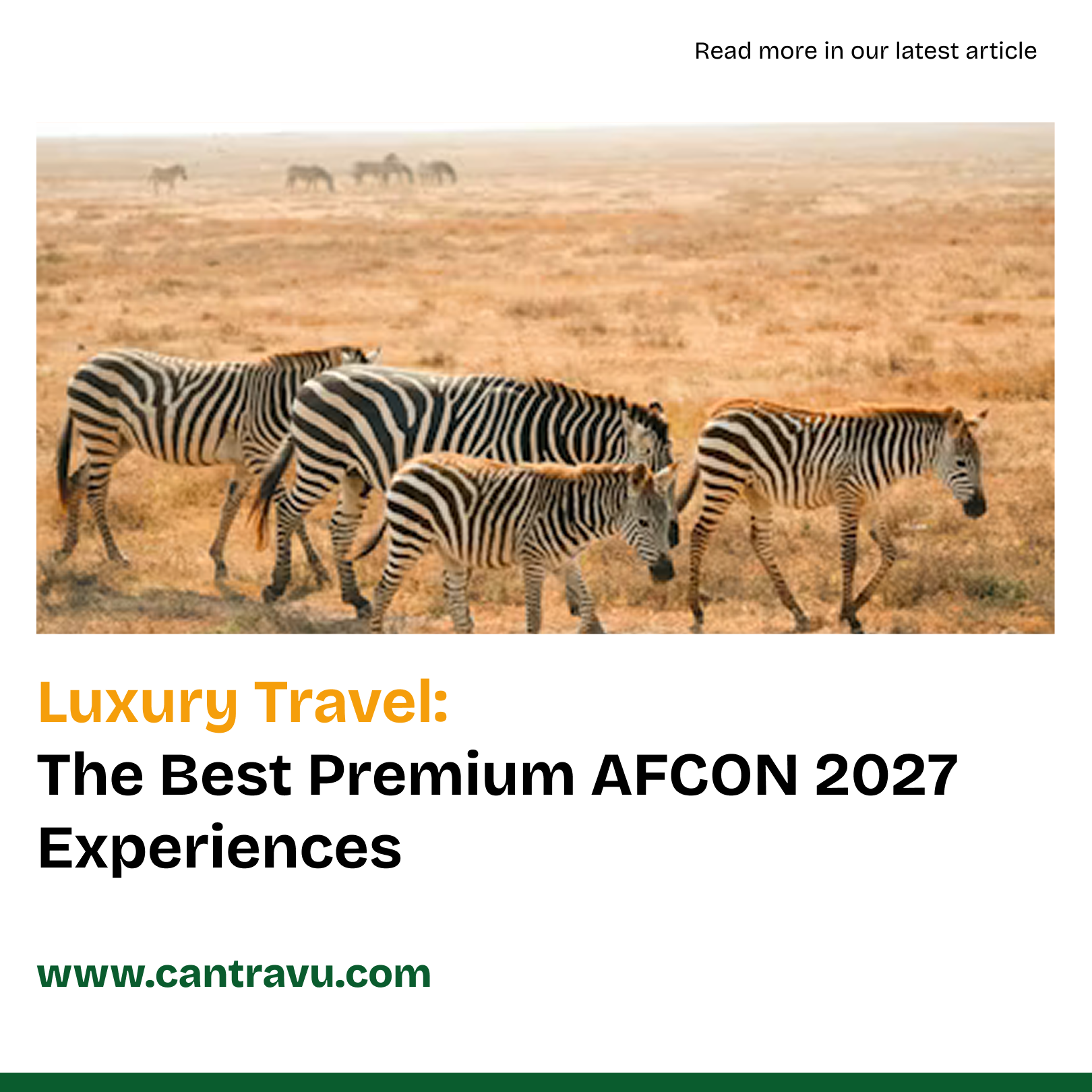 Luxury Travel: Premium AFCON 2027 Experiences