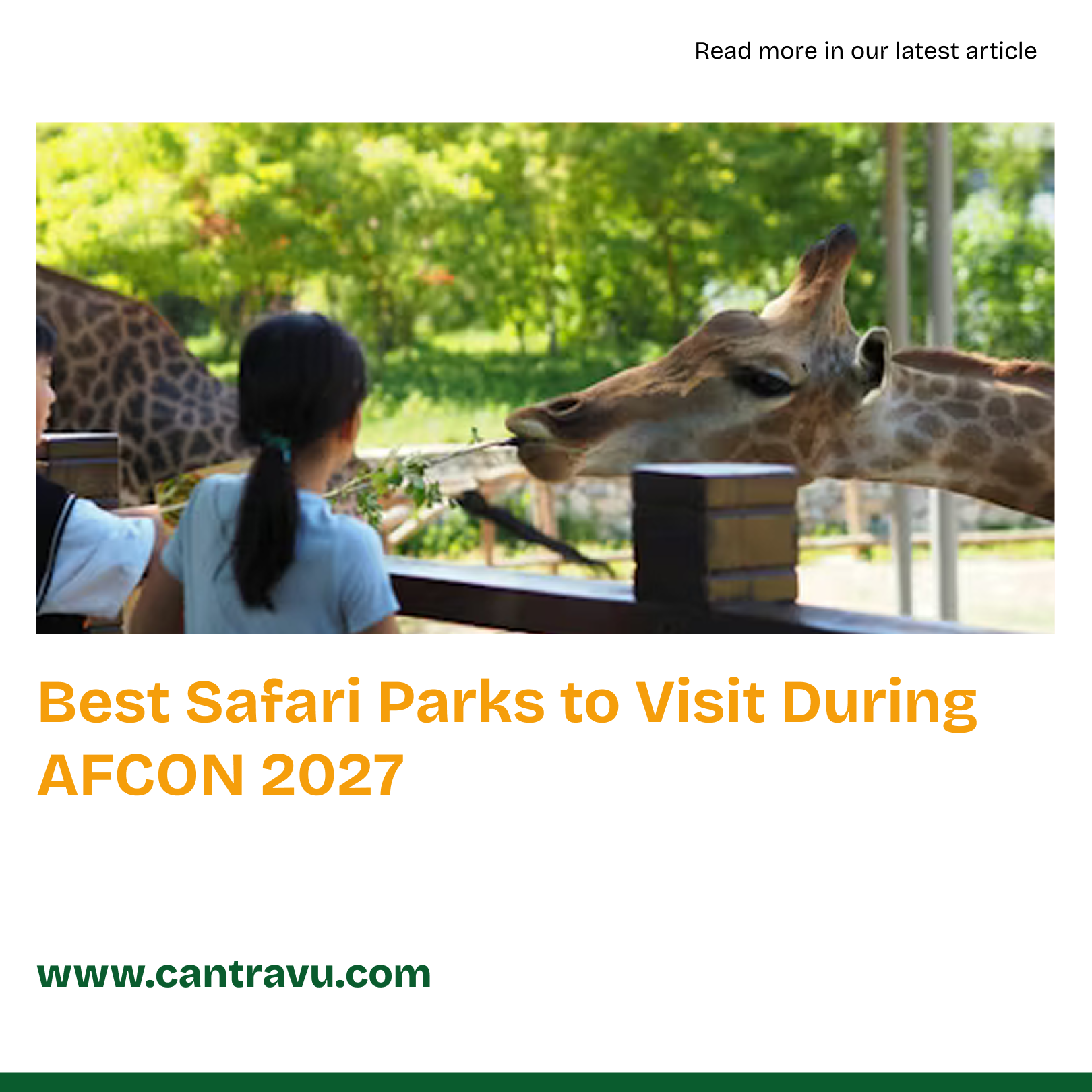 Best Safari Parks to Visit During AFCON 2027