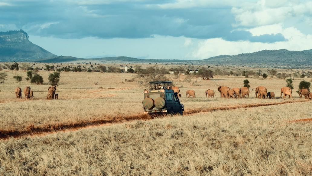 Maasai Mara