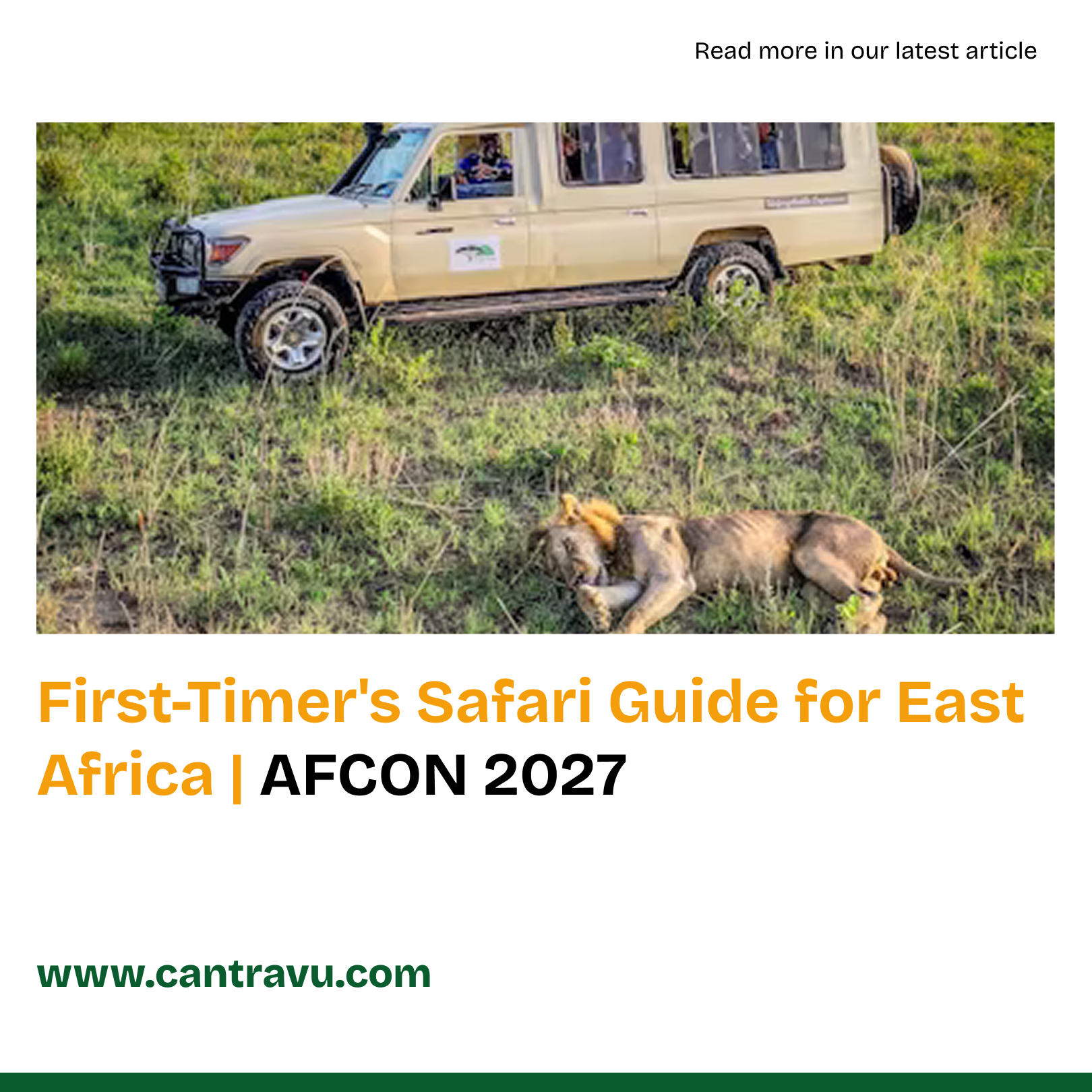 First-Timer's Guide to Going on Safari