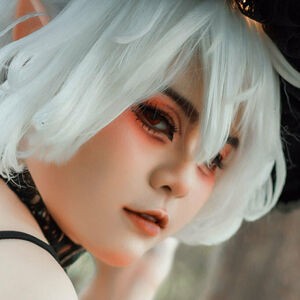 ponkapics / ponkapion