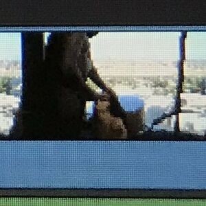 semaj_media / semajmediafree