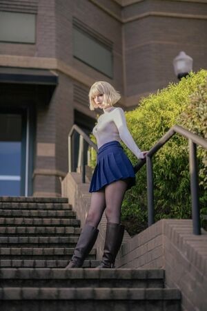 Sharkparty / sharkpartyqq