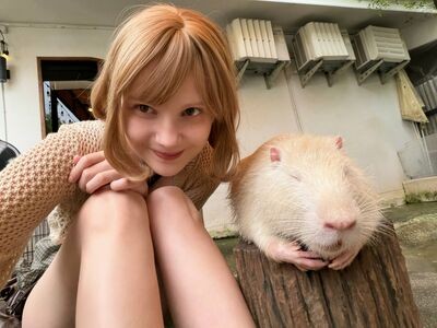 Caties / catiescos / https: / katie_westwood