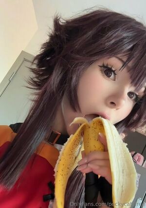 pockycatsfree / pockycatt