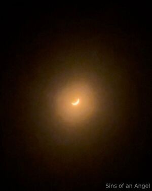 jewnoseswag / sinsofanangel