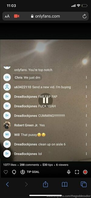 1dessdior / thegoddessdior