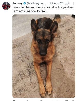 Melonie Mac / MelonieMac