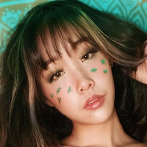 Aloebambi / aloebamb.i