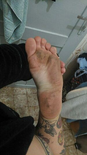 Fennix Queen / about / fenix.queen / fennixqueen