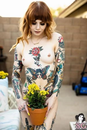 Loveless Suicide