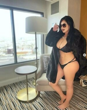 Champagne Chronicles