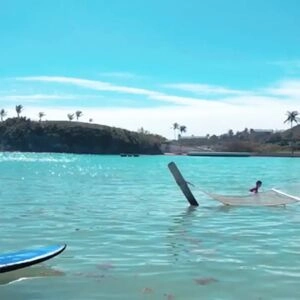 Olivia Harlan Dekker