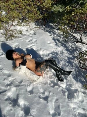 paloma_de_espadas.free