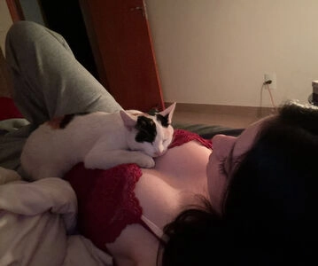 Lamie / Larissacarvalhx / ilamie / lamistar