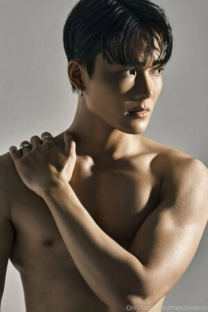 thetcorner / thetcornervn