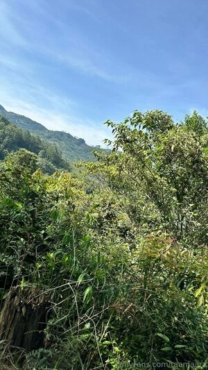 taamaara / taamaara__