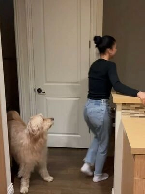 Kaley Cuoco / kaley_cuoco / kaleycuoco / kaleycuocodailynews