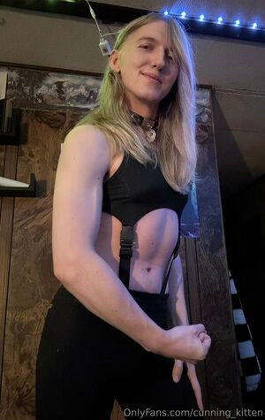 cunning_kitten / cunningkitten