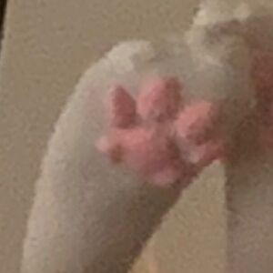 denpafish / despairfish