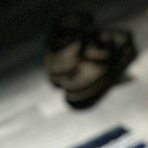 bellagold88 / bellagold888