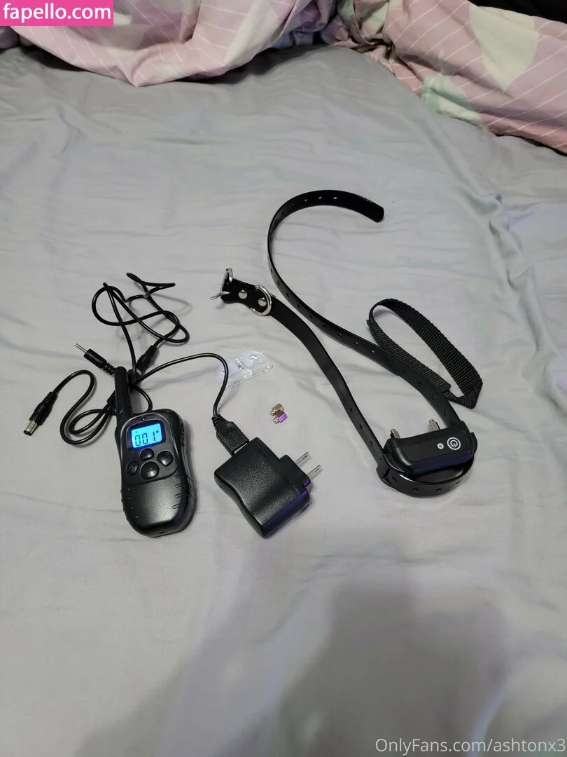 ashtonx3 Onlyfans Photo Gallery 