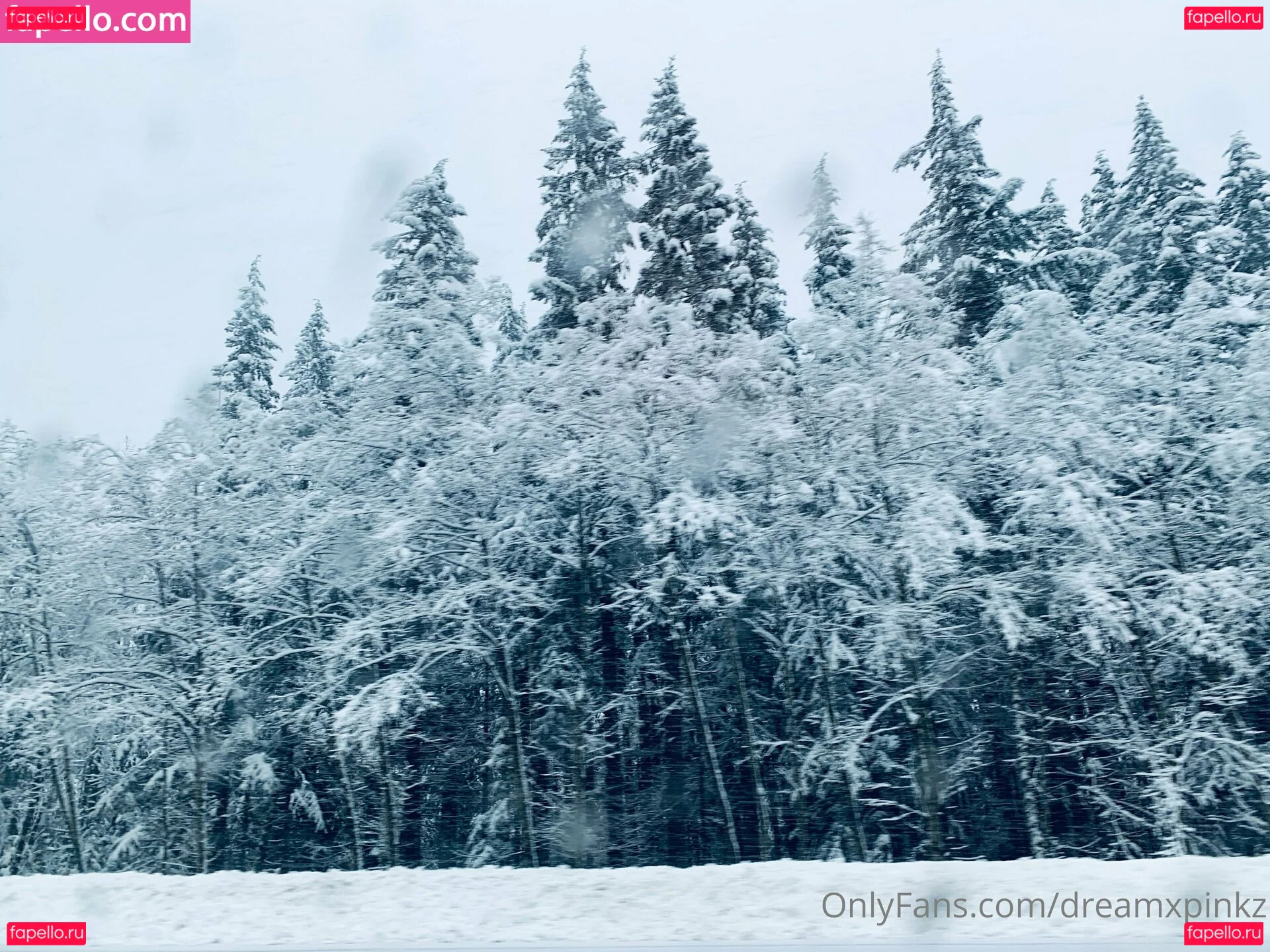 dreamxpinkz Onlyfans Photo Gallery 