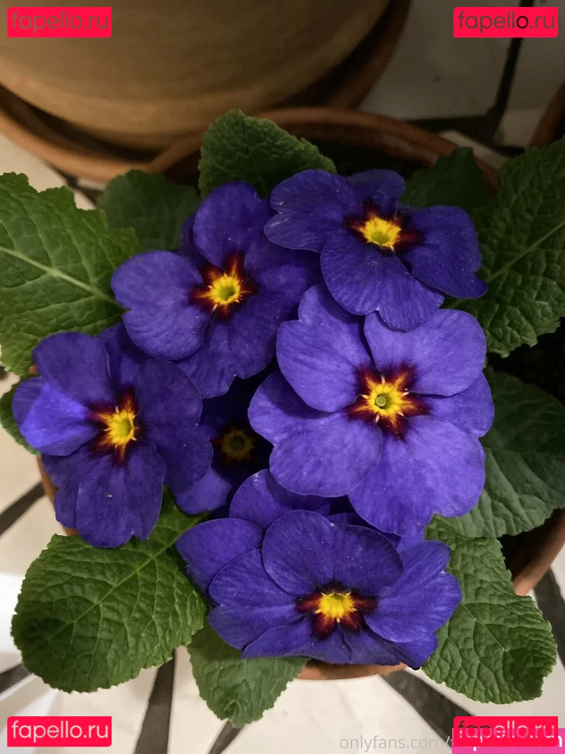 florence_agapi Onlyfans Photo Gallery 