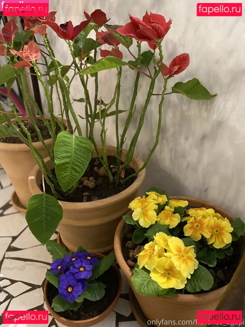 florence_agapi Onlyfans Photo Gallery 