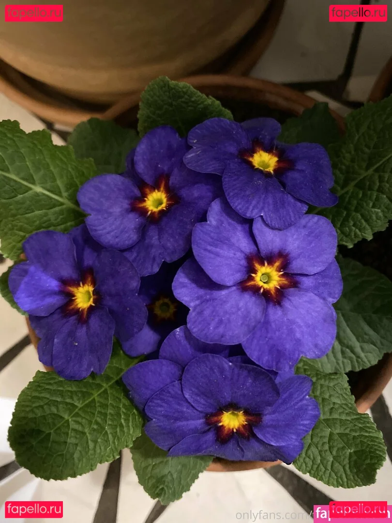 florence_agapi Onlyfans Photo Gallery 