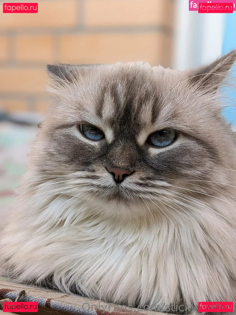 sticky_touch Onlyfans Photo Gallery 