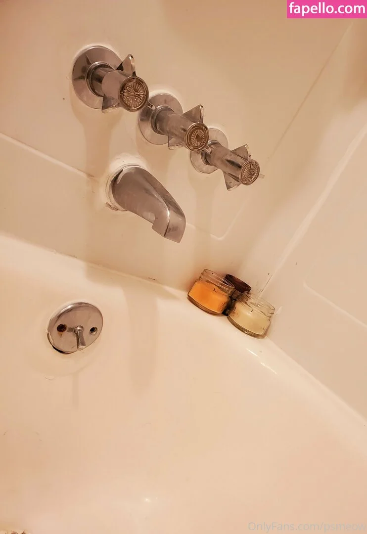 psmeow Onlyfans Photo Gallery 