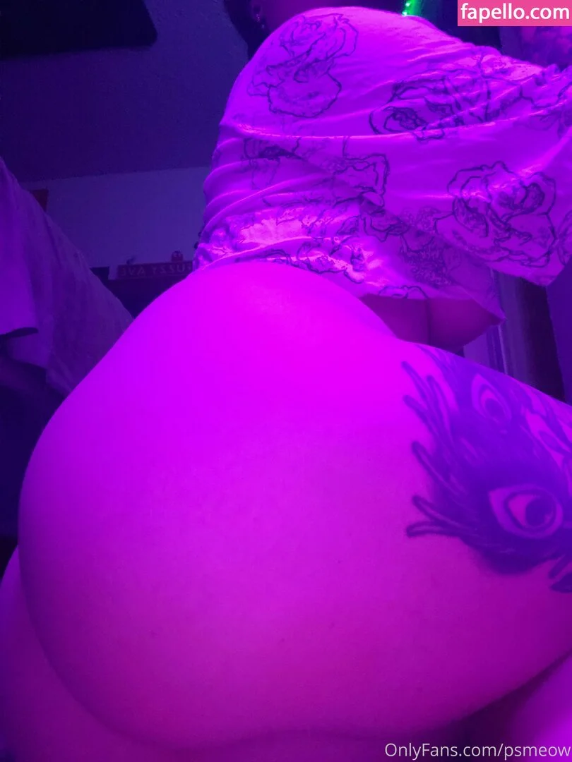 psmeow Onlyfans Photo Gallery 