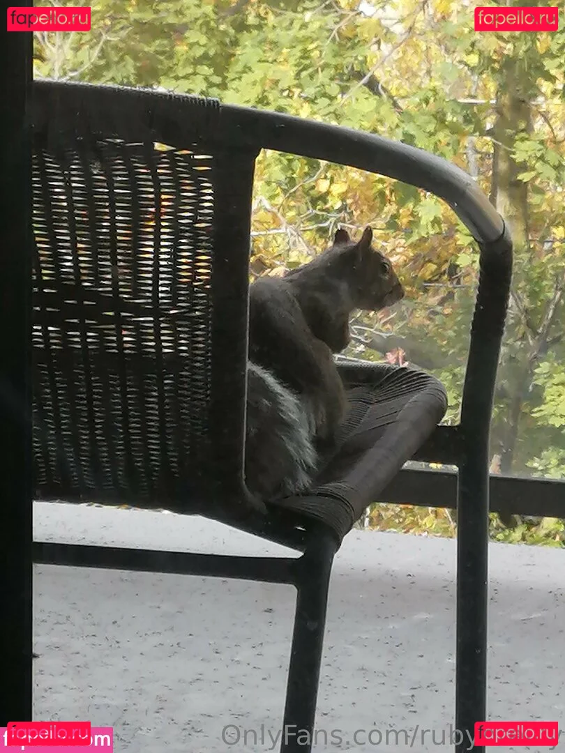 rubyoreilly Onlyfans Photo Gallery 