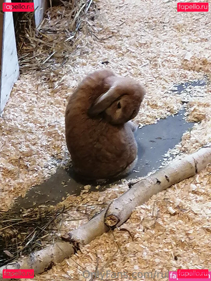 rubyoreilly Onlyfans Photo Gallery 