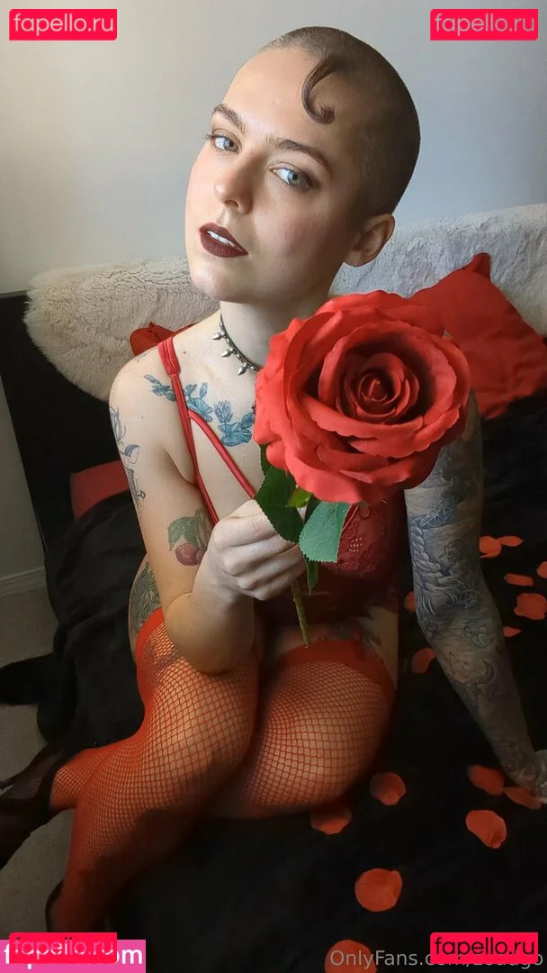 zoadgo Onlyfans Photo Gallery 