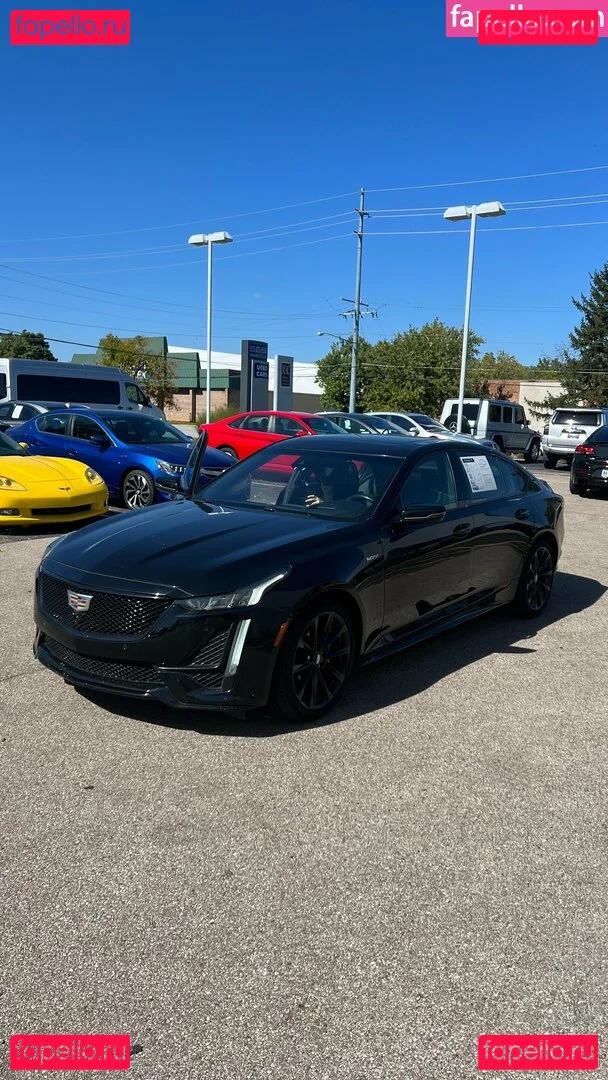 megadongx Onlyfans Photo Gallery 