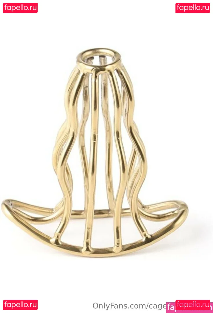 cagedsissy2020 Onlyfans Photo Gallery 