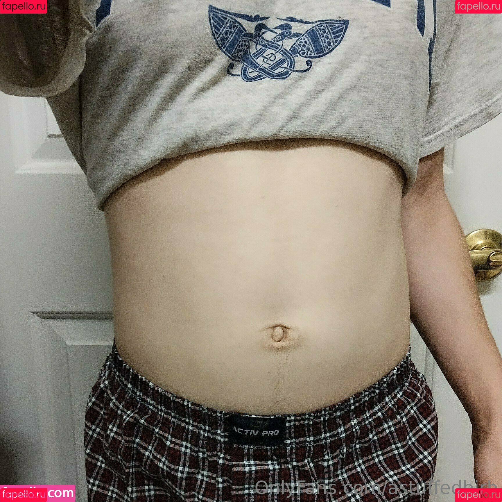 astuffedbirb Onlyfans Photo Gallery 