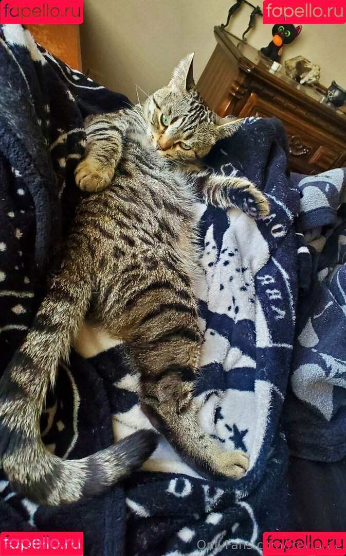 freyjarae Onlyfans Photo Gallery 