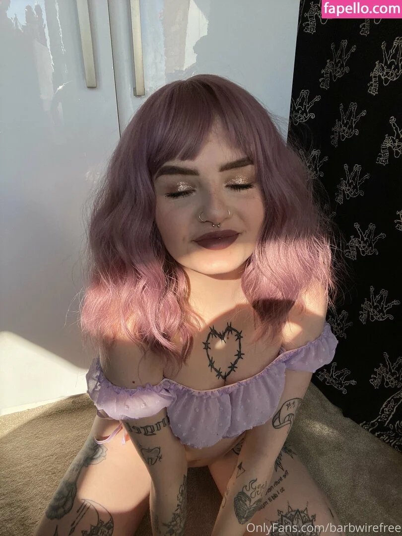 barbwirefree Onlyfans Photo Gallery 