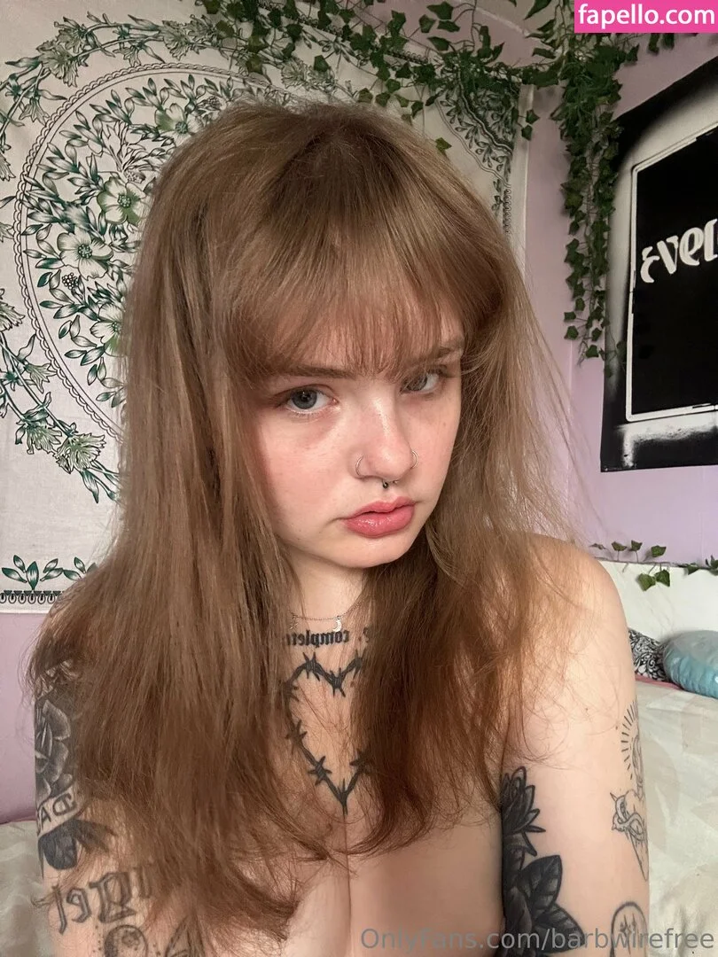 barbwirefree Onlyfans Photo Gallery 
