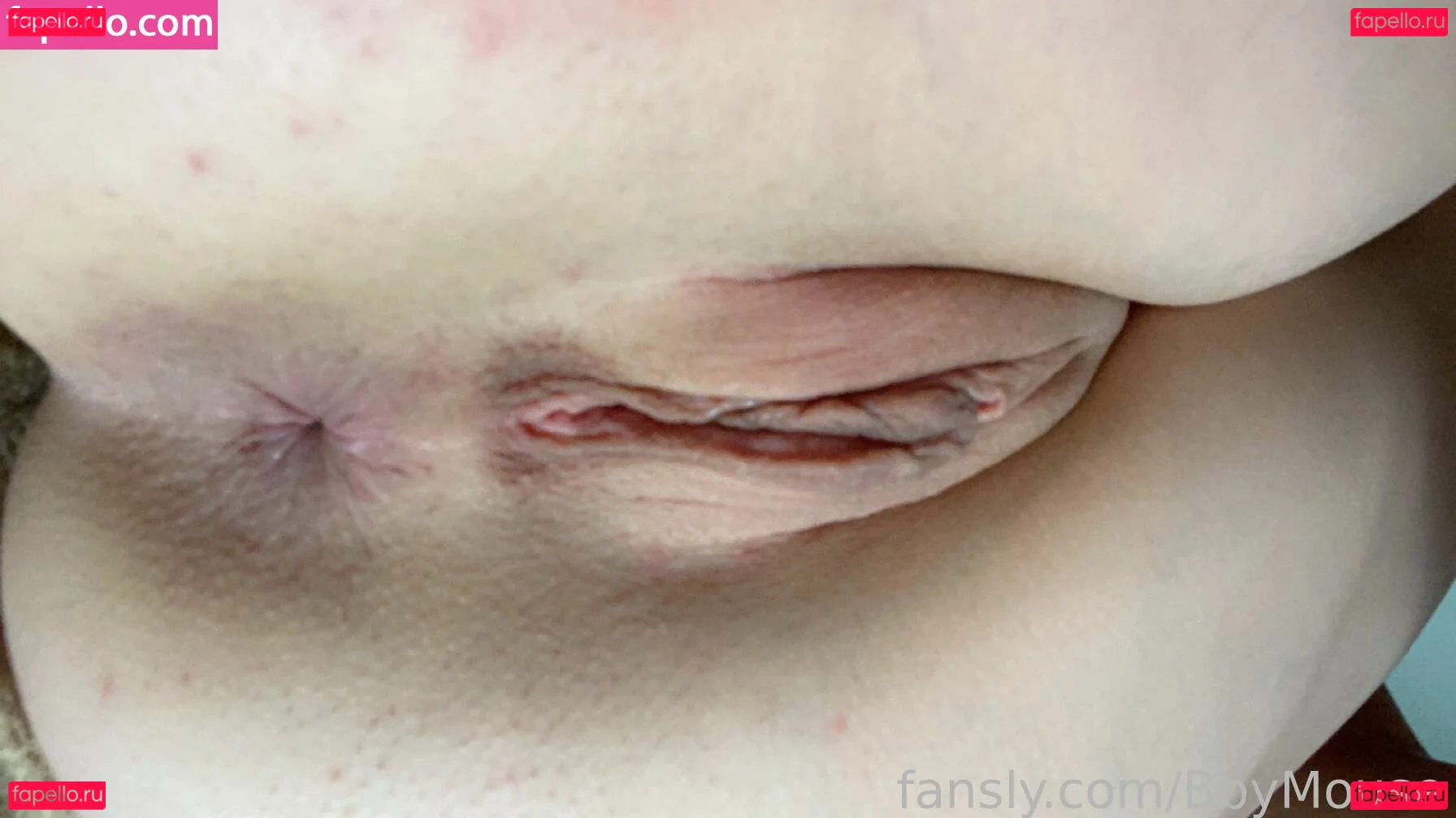 BbyMouse Onlyfans Photo Gallery 