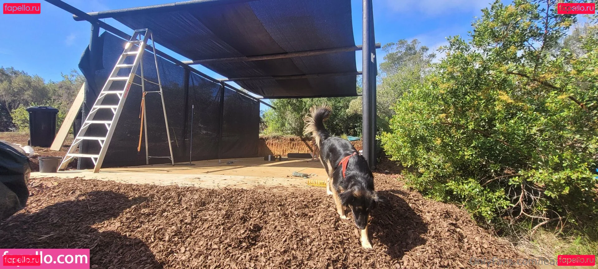 leaandbear Onlyfans Photo Gallery 